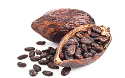 Cacao