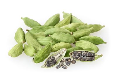 Cardamome