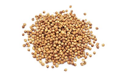 Coriander seed