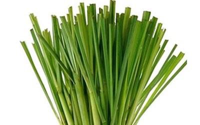 Lemongrass