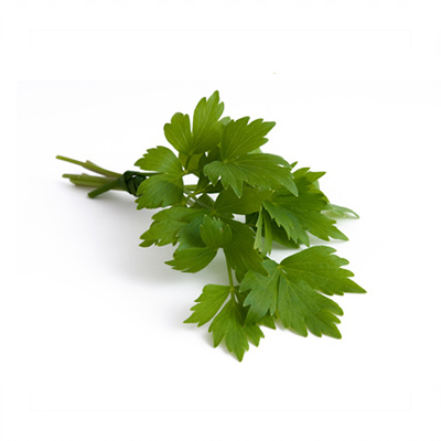 Lovage