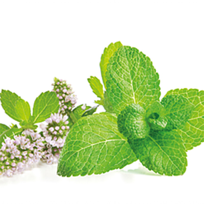 Spearmint oil