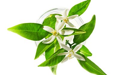 Neroli