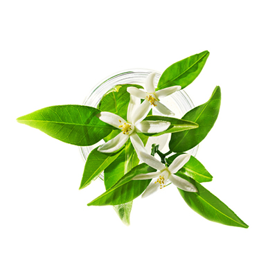 Neroli