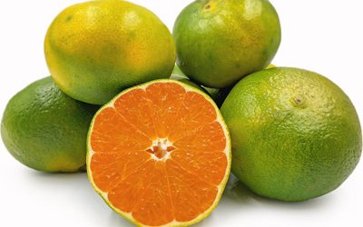 Mandarine Verte