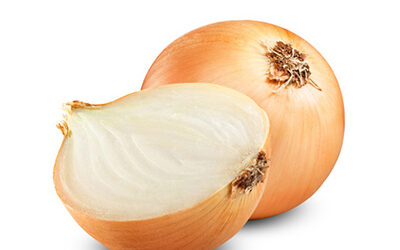 Onion