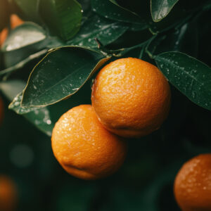 Red Mandarin
